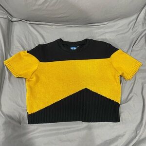 Elhoffer Design interstellar crop top sweater